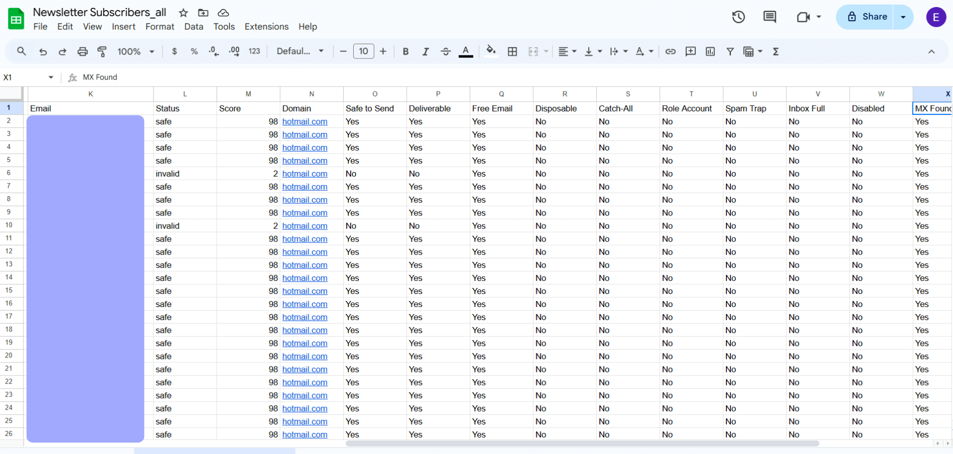 Verification results opened in a spreadsheet, showing email, status, score, domain, and the detailed flag columns