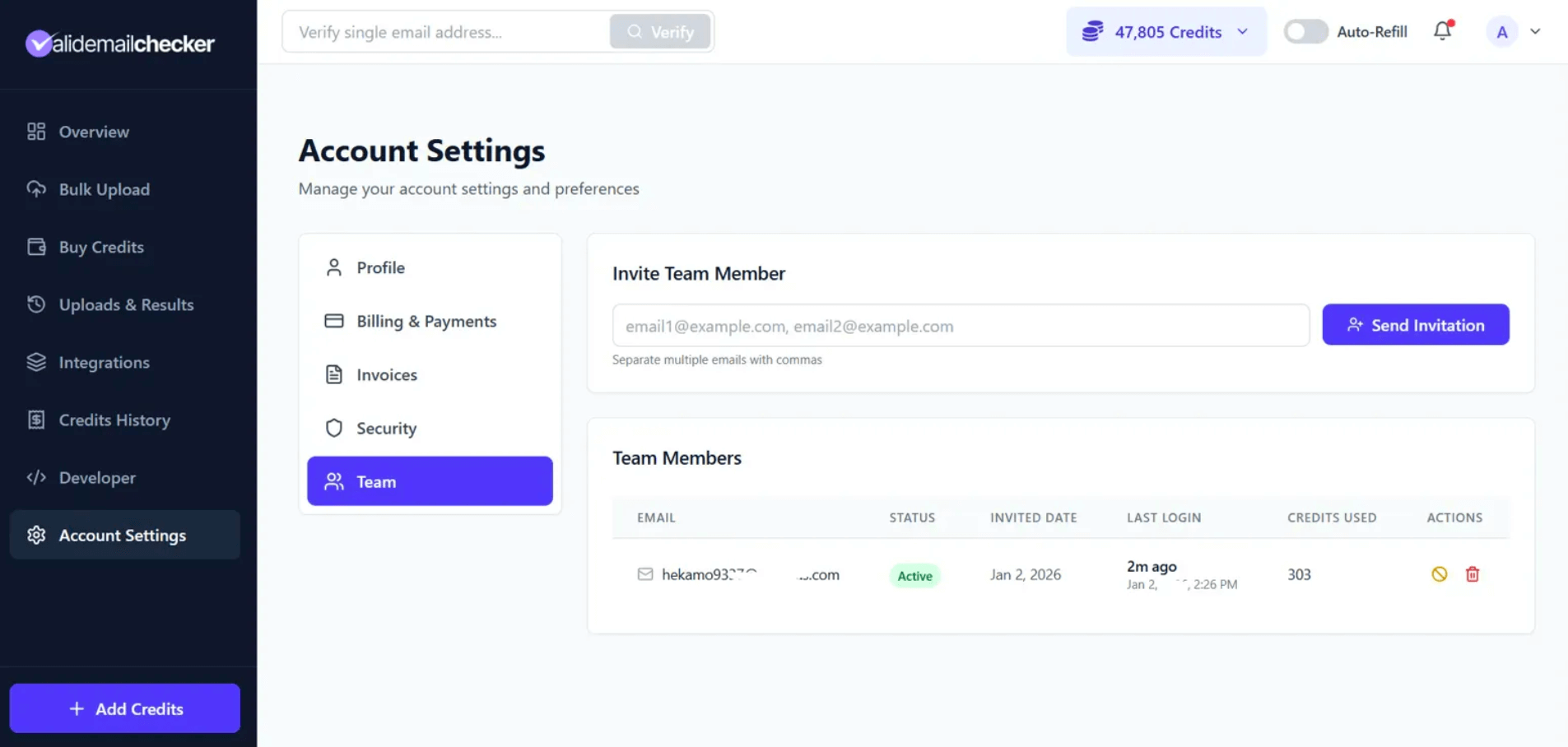Account Settings Team tab showing the invite section at the top and a list of existing team members below with columns for email, status, last login, credits used, and actions