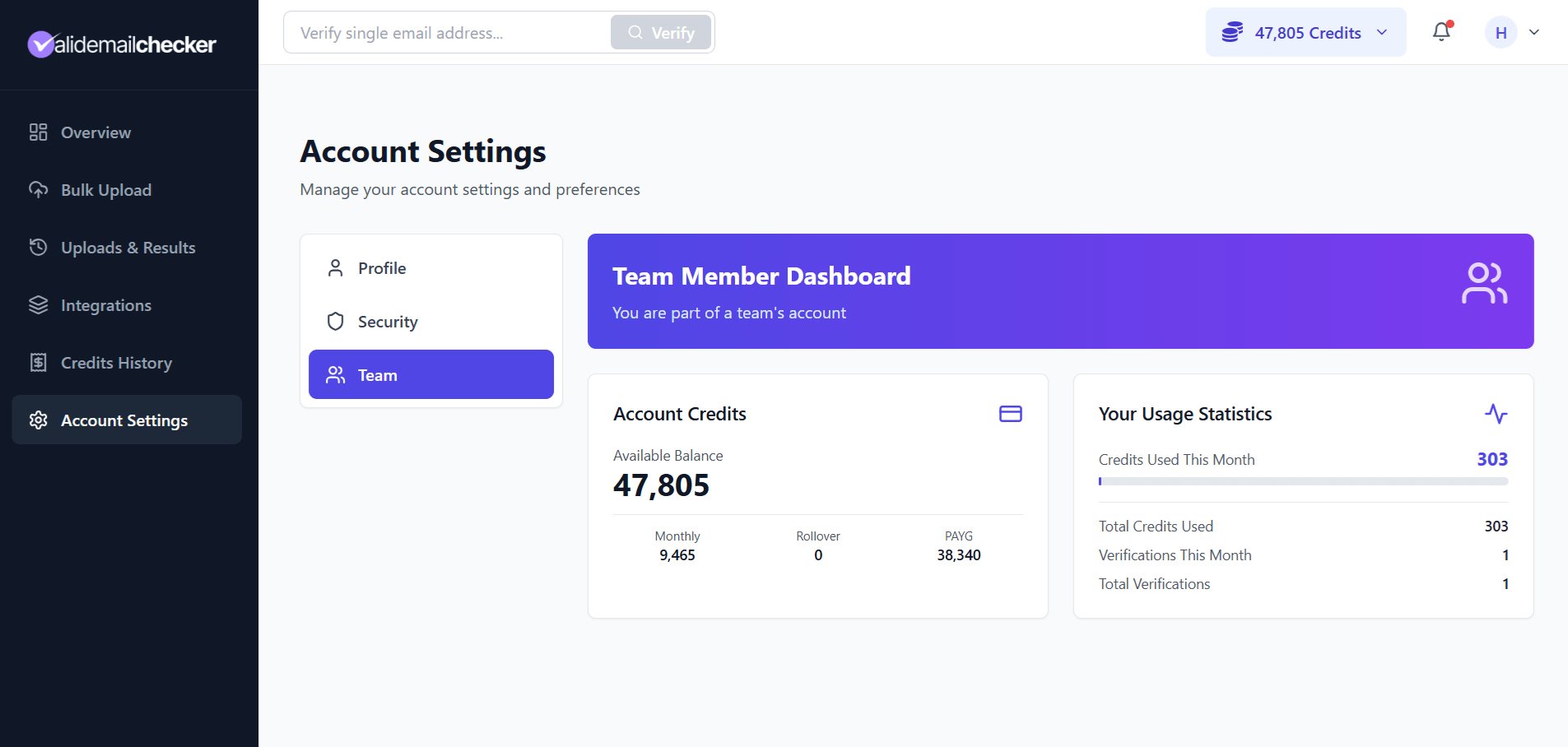 Team member dashboard showing the shared account credit balance at the top with Monthly + PAYG breakdown, and the team member personal stats below showing credits used this month, total credits used, verifications this month, total verifications